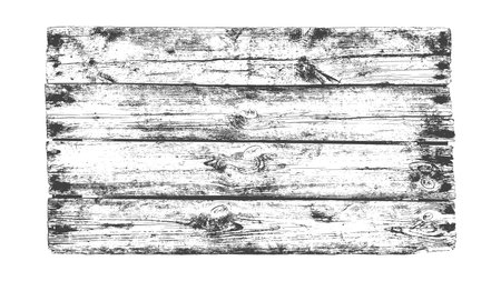 Distressed wood texture. Black grain texture on white background. Dust overlay textured. grain noise particles. Rusted white effect. Grunge design elements. Vector illustration, EPS 10.のイラスト素材