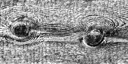 Distressed wood texture. Black grain texture on white background. Dust overlay textured. grain noise particles. Rusted white effect. Grunge design elements. Vector illustration, EPS 10.のイラスト素材