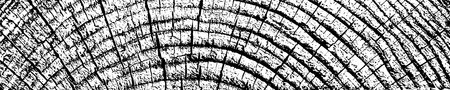 Distressed wood overlay textured. Cross section tree rings cut slice. Black grain texture on white background. Wide horizontal long banner. Grunge design elements. Vector illustration, EPS 10.のイラスト素材