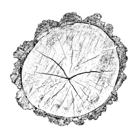 Distressed wood texture on white background. Cross section tree rings cut slice. Round wooden design elements. Vector illustration, EPS 10.のイラスト素材