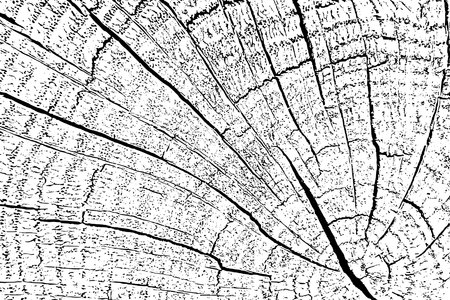 Distressed wood overlay textured. Cross section tree rings cut slice. Black grain texture on white background. Grunge design elements. Vector illustration, EPS 10.のイラスト素材