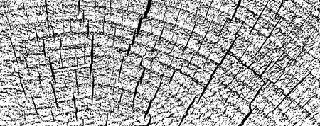 Distressed wood overlay textured. Cross section tree rings cut slice. Black grain texture on white background. Wide horizontal long banner. Grunge design elements. Vector illustration, EPS 10.のイラスト素材