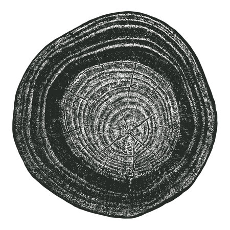 Distressed wood texture on white background. Cross section tree rings cut slice. Round wooden design elements. Vector illustration, EPS 10.のイラスト素材