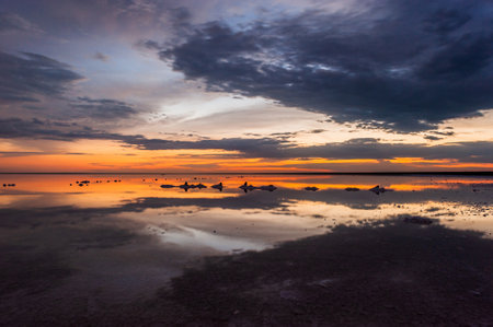 Sunset or sunrise sky. Clouds over water. Golden Dawn. Dramatic coast nature background. Beautiful sea beach at sunset. Morning shoreline sunlight.の写真素材