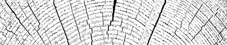 Wood overlay textured. Cross section tree rings cut slice. Black grainy texture on white background. Wide horizontal long banner. Grunge design elements. Vector illustration.のイラスト素材