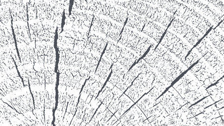 Wood distress overlay textured. Cross section tree rings cut slice. Black grainy texture on white background. Grunge design elements. Vector illustration. EPS 10.のイラスト素材