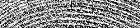Wood overlay textured. Cross section tree rings cut slice. Black grainy texture on white background. Wide horizontal long banner. Grunge design elements. Vector illustration. EPS 10.のイラスト素材