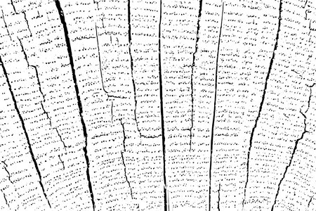 Wood distress overlay textured. Cross section tree rings cut slice. Black grainy texture on white background. Grunge design elements. Vector illustration. EPS 10.のイラスト素材