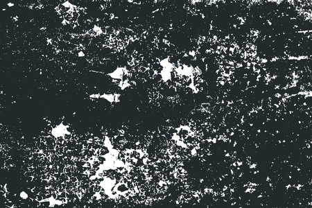 Worn black and white grunge texture. Dark grainy texture background. Dust overlay textured. Grain noise particles. Weathered effect. Torn graininess pattern. Vector illustration, EPS 10.のイラスト素材