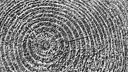 Wood distress overlay textured. Cross section tree rings cut slice. Black grainy texture on white background. Grunge design elements. Vector illustration. EPS 10.のイラスト素材