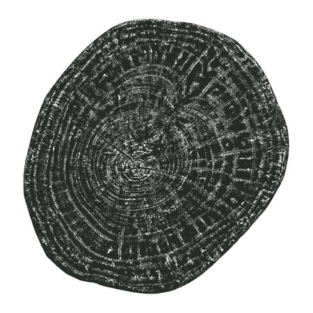 Wood texture cross section of tree rings. Cut slice of wooden stump isolated on white. Textured surface with rings and cracks. Black background made of hardwood from the forest. Vector illustration. EPS 10.のイラスト素材