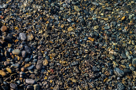 Underwater pebble backgrounds. Colorful stones sea bottom in the sun rays. View from above through clear water. Seascape wallpaper texture.の写真素材