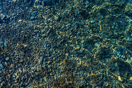 Underwater pebble backgrounds. Colorful stones sea bottom and sea fish in the sun rays. View from above through clear water. Seascape wallpaper texture.の写真素材