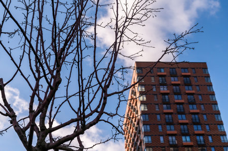 Residential skyscraper through the branches of autumn trees in business district against blue sky. Looking up high-rise residential buildings. Day time, park, fall. Angled view. Defocus background.の写真素材