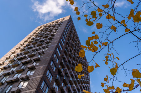 Residential skyscraper through the branches of autumn trees in business district against blue sky. Looking up high-rise residential buildings. Day time, park, fall. Angled view. Defocus background.の写真素材