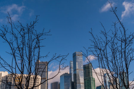 Skyscrapers through the branches of autumn trees in business district against blue sky. Looking up high-rise office buildings. Day time, park, fall. Angled view. Defocus background.の写真素材