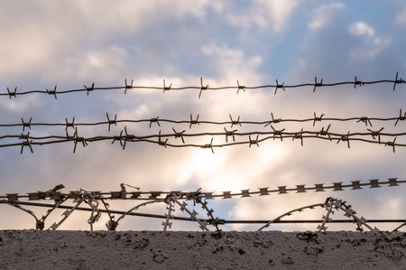 Barbed wire against the blue sunset sky. Concept photo for border fence or prison.の写真素材