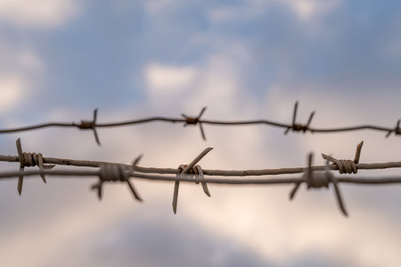 Barbed wire against the blue sunset sky. Border fence or prison.の写真素材