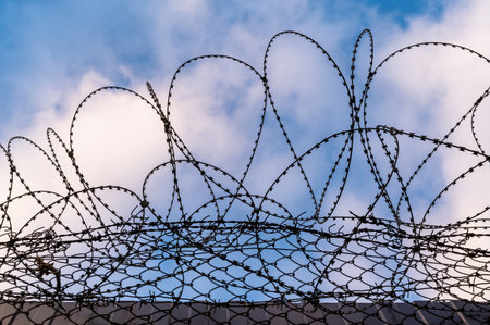 Barbed wire against the blue sunset sky. Border fence or prison.の写真素材