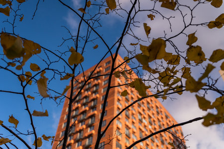 Apartment skyscraper through the branches of autumn trees in business district against blue sky. Looking up high-rise residential buildings. Day time, park, fall. Angled view. Defocus background.の写真素材