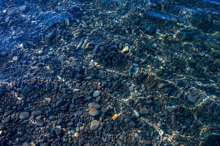 Underwater pebble backgrounds. Colorful stones sea bottom and sea fish in the sun rays. View from above through clear water. Seascape wallpaper texture.の写真素材