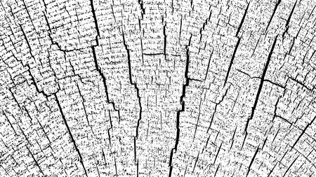 Tree texture on white background. Distressed wood overlay textured. Old wooden design element. Cross section tree rings cut slice. Vector illustration. EPS 10.のイラスト素材