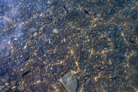 Underwater pebble backgrounds. Colorful stones sea bottom in the sun rays. View from above through clear water. Seascape wallpaper texture. Soft focus.の写真素材