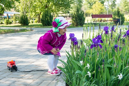 The child, a little girl in the park inhale the fragrance of blooming iris. Spring walk in the park.の写真素材