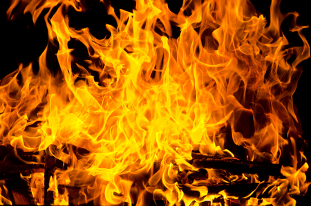 Flames lit the fire, warming his warmth in cold weather. Rules of safe breeding of fire.