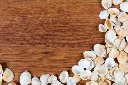Sea shells on sand. Summer beach background. Top view. Seashells on a wooden table - a reminder of...