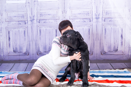 Attractive girl posing in the studio with puppies of breed Mastiff Neapolitana.の写真素材