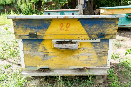 Beehive - the house of bees in the bosom of nature. Work beekeeper. Healing product of beekeeping. May, flower honey.の写真素材