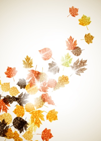 autumn backgroundのイラスト素材