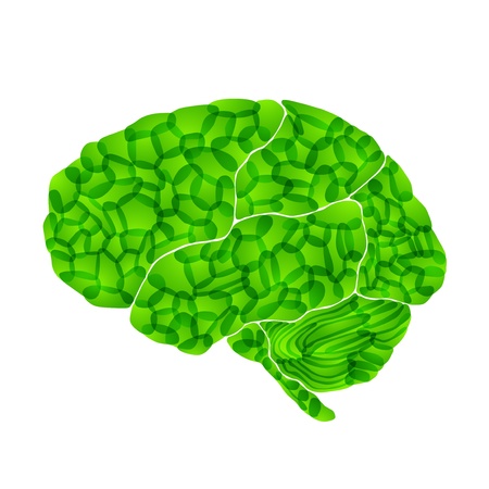 human brain, green thoughts, vector abstract backgroundの写真素材
