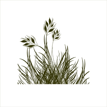 floral backgroundのイラスト素材