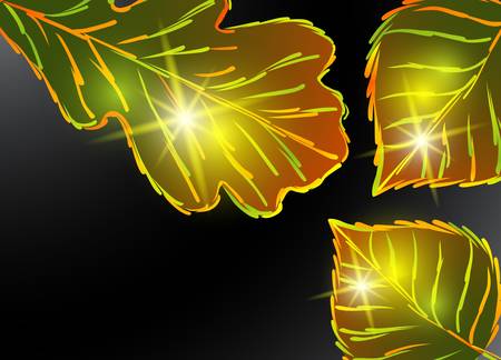 autumn backgroundのイラスト素材