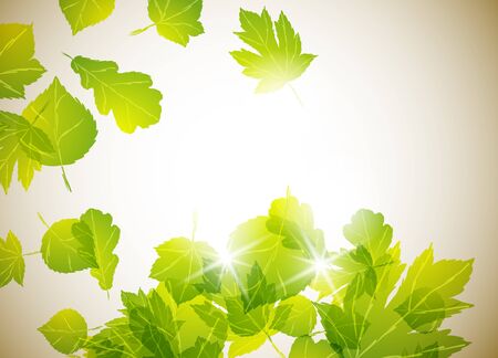 autumn backgroundのイラスト素材