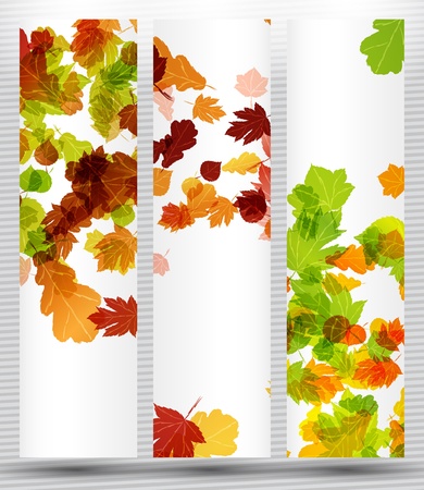autumn bannerのイラスト素材