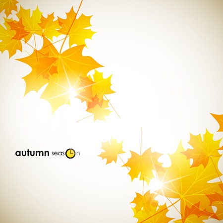 autumn backgroundのイラスト素材