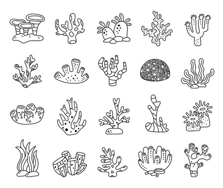 Coral reef set in outline line art showing a variety of underwater forms and tropical sea animals is perfect for your illustrations and creative design projects.のイラスト素材