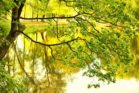 Autumn parkの写真素材