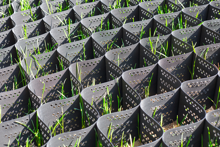 Green grass in a plastic black honeycomb frame to prevent soil erosion on the slopeの写真素材