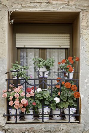 Detail front of a window decorated with different flowers Europeanの写真素材
