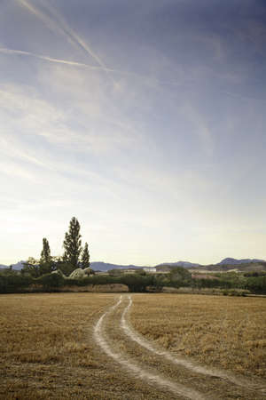 Landscape, nature, rural scene with vegetation, Spain, forestの写真素材