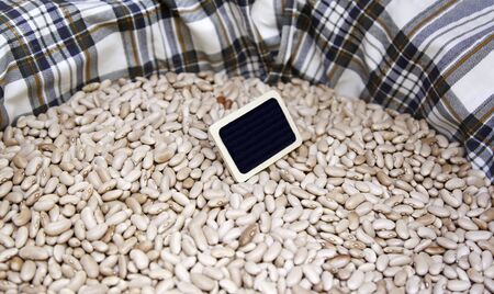 Beans with text, detail of a bean, space for textの写真素材