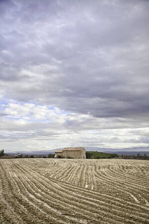 House in the countryside, detail of a house in a crop field, agricultureの写真素材