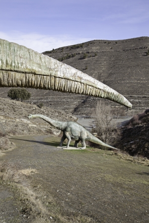 Rare dinosaur, detail of ancient extinct animals, carnivoresの写真素材