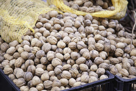Fresh walnuts, nut detail in the market, food healthy lifeの写真素材