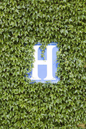 Hotel sign, detail of a wall with vegetation and a sign of hotel, lodgingの写真素材