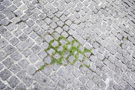 Cobbles on the ground with grass, detail of an old floor to walk, medieval pavementの写真素材